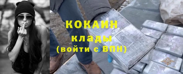 прущие грибы Абдулино
