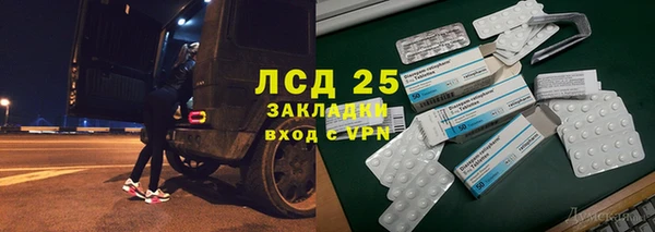 ПСИЛОЦИБИНОВЫЕ ГРИБЫ Абаза