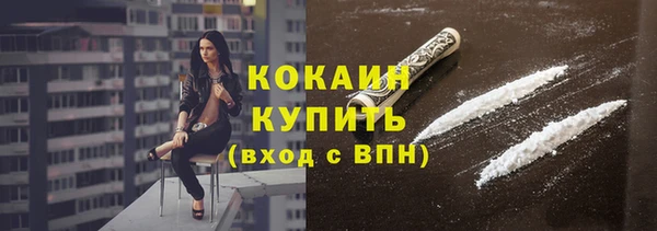 ПСИЛОЦИБИНОВЫЕ ГРИБЫ Абаза