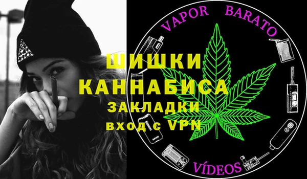 ПСИЛОЦИБИНОВЫЕ ГРИБЫ Абаза