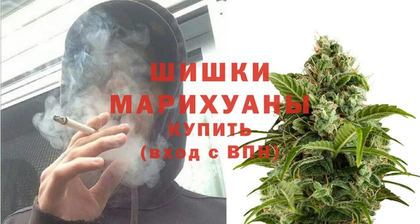 ПСИЛОЦИБИНОВЫЕ ГРИБЫ Абаза