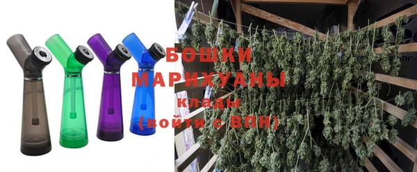 ПСИЛОЦИБИНОВЫЕ ГРИБЫ Абаза