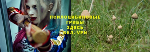 соль ск Алзамай