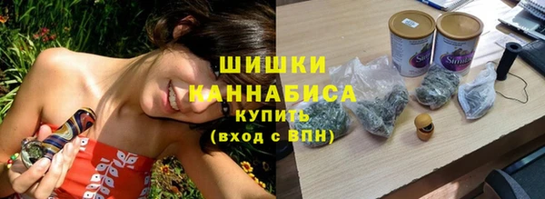 ПСИЛОЦИБИНОВЫЕ ГРИБЫ Абаза
