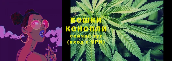 ПСИЛОЦИБИНОВЫЕ ГРИБЫ Абаза
